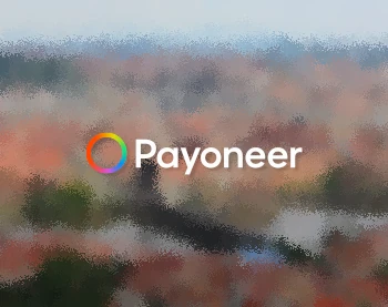 Payoneer checkout - как работает система?